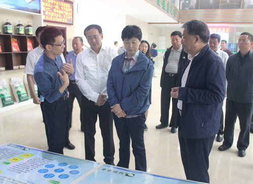 中华全国供销合作总社领导在安义县绿能农业发展公司调研